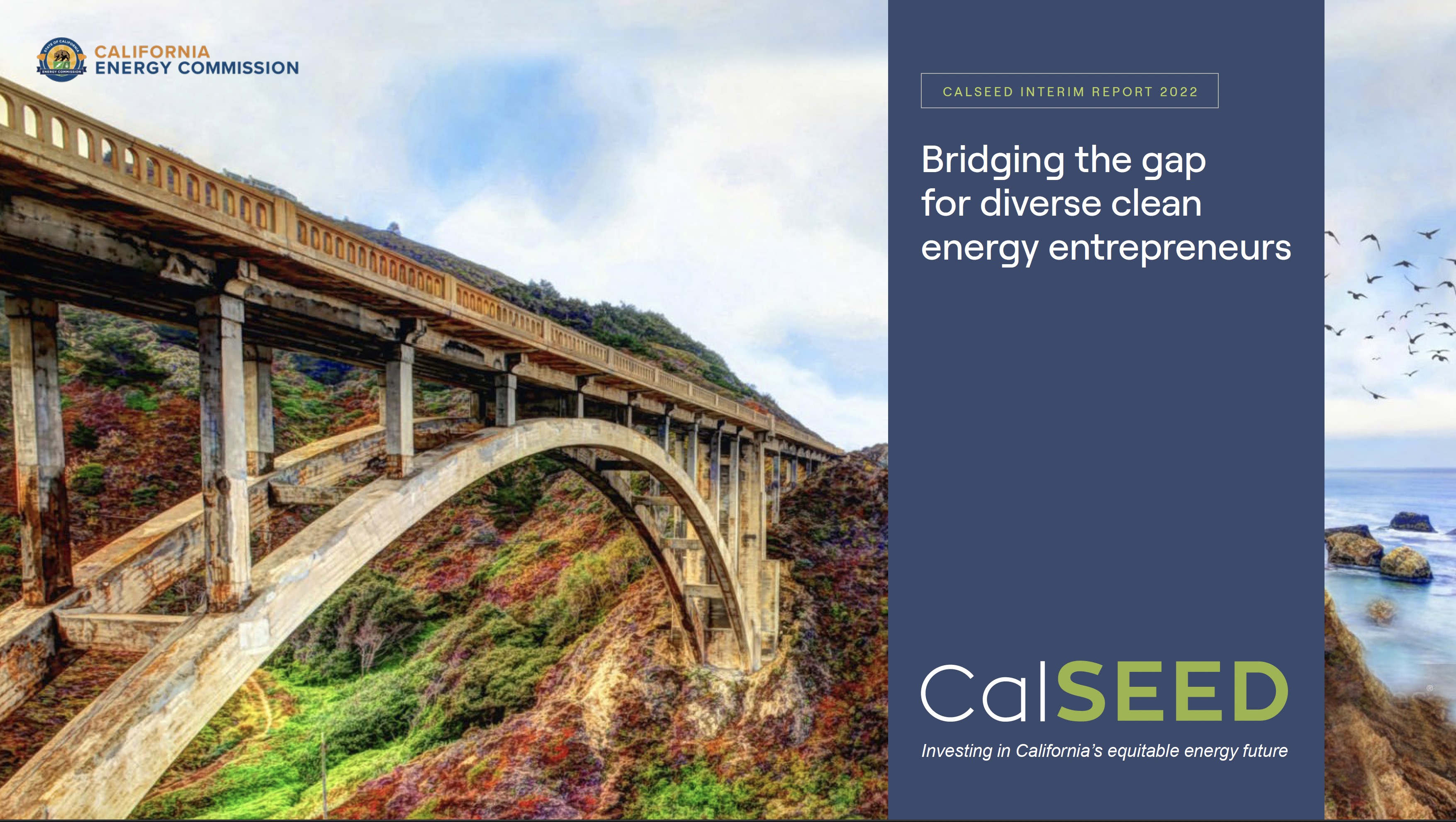 CalSEED Interim Report 2022 cover