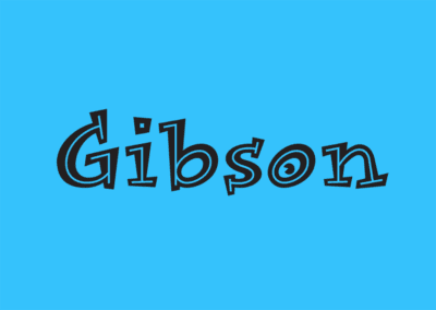 Gibson Photography